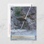 FARBE: SOLEILPORTE POSTKARTE (Vorne/Hinten)