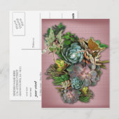 Farben auf einem Sukkulenten Display Postkarte (Vorne/Hinten)
