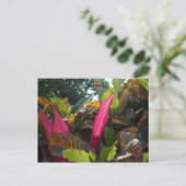 Farben Bucerias, Mexiko Postkarte (Stehend Vorderseite)