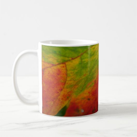 Farben der Ahornleaf Autumn Nature Fotografy Kaffeetasse (Links)