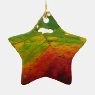 Farben der Ahornleaf Autumn Nature Fotografy Keramik Ornament