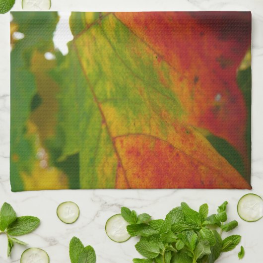 Farben der Ahornleaf Autumn Nature Fotografy Küchentuch (Gefaltet)