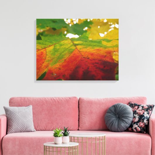Farben der Ahornleaf Autumn Nature Fotografy Leinwanddruck (Insitu (Wohnzimmer))