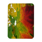 Farben der Ahornleaf Autumn Nature Fotografy Magnet (Vertikal)