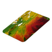 Farben der Ahornleaf Autumn Nature Fotografy Magnet (Linke Seite)