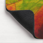 Farben der Ahornleaf Autumn Nature Fotografy Mousepad (Ecke)