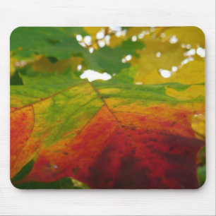 Farben der Ahornleaf Autumn Nature Fotografy Mousepad
