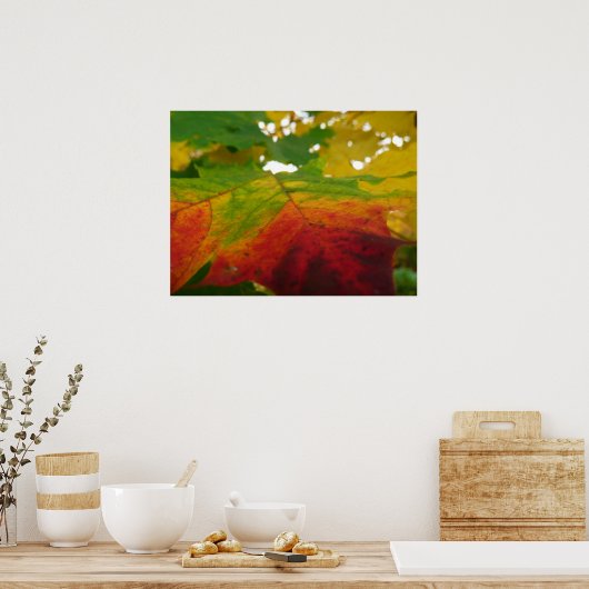 Farben der Ahornleaf Autumn Nature Fotografy Poster (Küche)