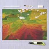 Farben der Ahornleaf Autumn Nature Fotografy Seidenpapier (Handwerk)