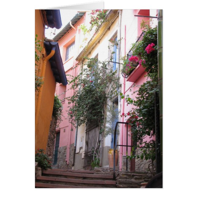 Farben der Farben (Vorne)