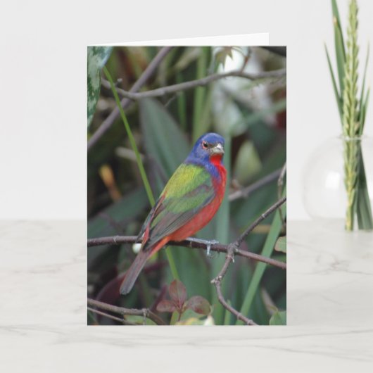 Farben der Karte (Vorderseite)