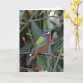 Farben der Karte (Gelbe Blume)