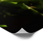 Farben der Kolumbien-Orchidee Poster (Ecke)