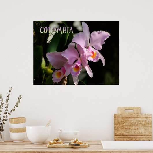 Farben der Kolumbien-Orchidee Poster (Küche)