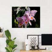 Farben der Kolumbien-Orchidee Poster (Heimbüro)