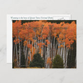 Farben der Postkarte der Tetons (Vorne/Hinten)