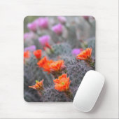 Farben der Wüste Mousepad (Mit Mouse)