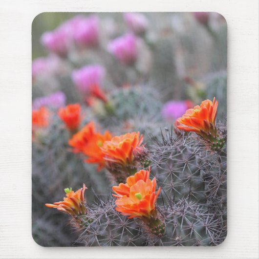 Farben der Wüste Mousepad (Vorne)