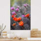 Farben der Wüste Poster (Küche)