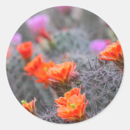 Farben der Wüste Runder Aufkleber