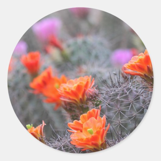 Farben der Wüste Runder Aufkleber (Vorderseite)