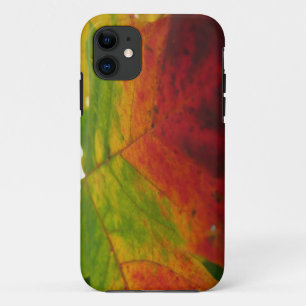 Farben des Ahornblattes Herbst Naturfotografie iPhone 11 Hülle