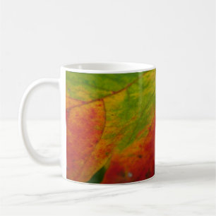 Farben des Ahornblattes Herbst Naturfotografie Kaffeetasse