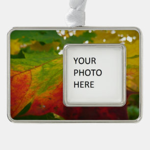 Farben des Ahornblattes Herbst Naturfotografie Rahmen-Ornament Silber
