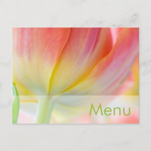 Farben des Frühlings ・ Menü Postkarte (Vorderseite)
