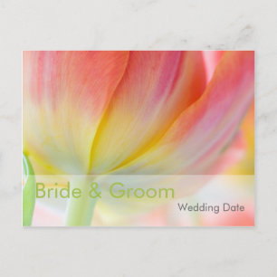 Farben des Frühlings Tulip ・ Orden des Tages Postk Postkarte