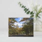 Farben des Herbstes... Postkarte (Stehend Vorderseite)