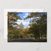 Farben des Herbstes... Postkarte (Vorne/Hinten)