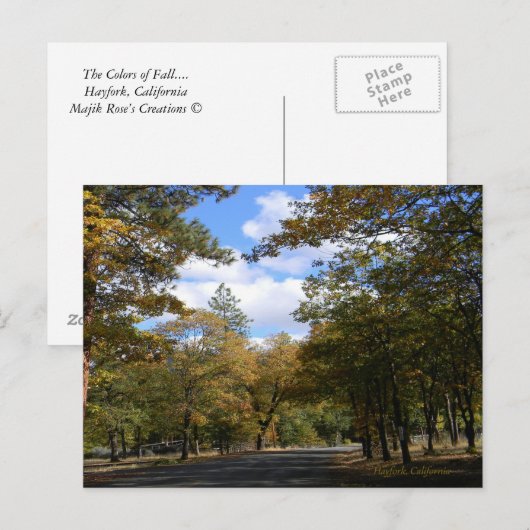 Farben des Herbstes... Postkarte (Vorne/Hinten)