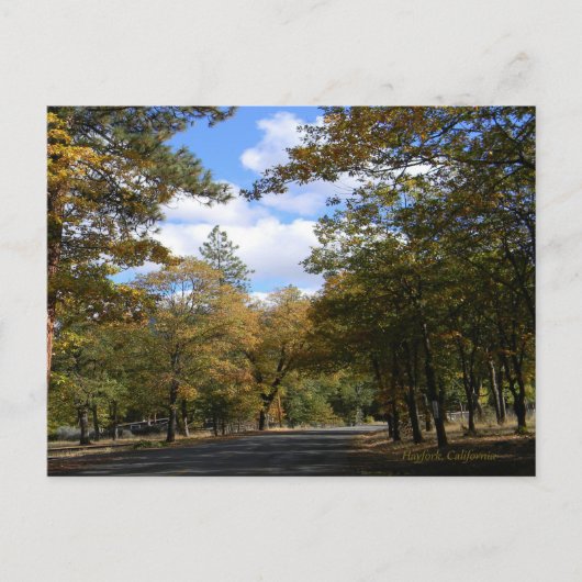 Farben des Herbstes... Postkarte (Vorderseite)