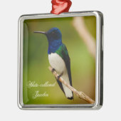 Farben des Klosters Ornament Aus Metall (Links)