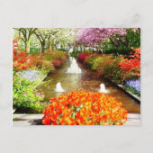 Farben des Lebens Postkarte (Vorderseite)