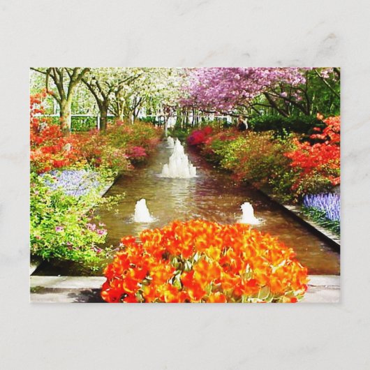 Farben des Lebens Postkarte (Vorderseite)