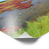 Farben des Marsh-Fotos Fotodruck (Ecke)