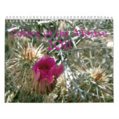 Farben des Mojave 2011 Kalender (Titelbild)