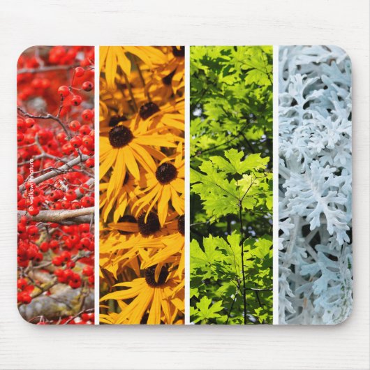 Farben des Quadriptychons der Veränderung Mousepad (Vorne)