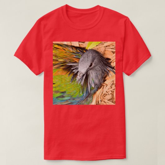 Farben des Regenbogens T-Shirt (Design vorne)