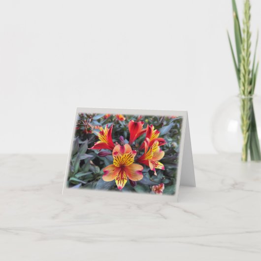 Farben des Sommers Karte (Vorderseite)