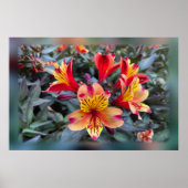 Farben des Sommers Poster (Vorne)