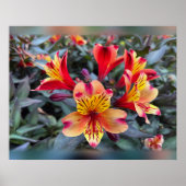 Farben des Sommers Poster (Vorne)