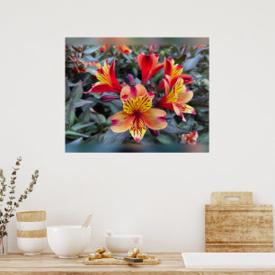 Farben des Sommers Poster