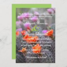 Farben des wüstengrünen Hintergrunds