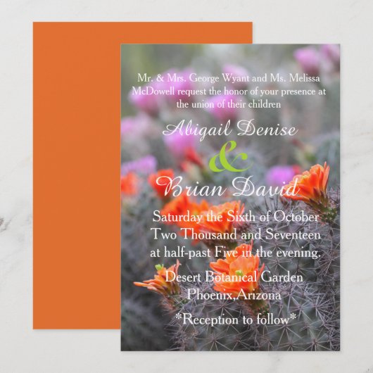 Farben des Wüstenorangen Hintergrunds Einladung (Vorne/Hinten)