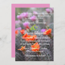 Farben des wüstenrosa Hintergrunds