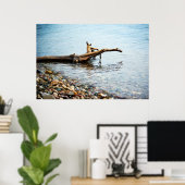 Farben drucken poster (Heimbüro)