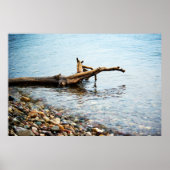 Farben drucken poster (Vorne)